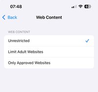 iPhone Limiting Adult Websites